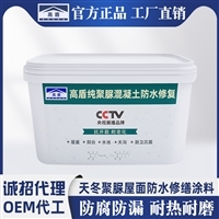 天冬聚脲 高性能防水材料的市场前景与价格解析